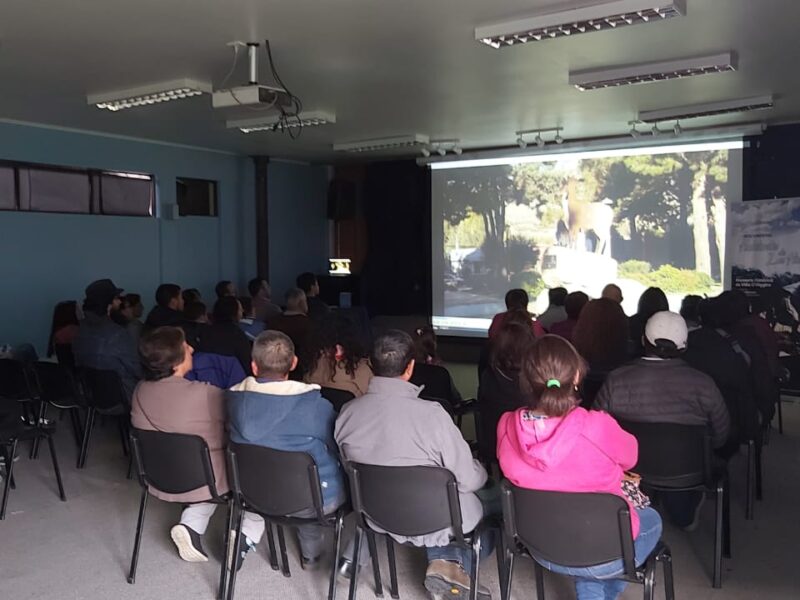 lanzamiento docu lanzamiento docu